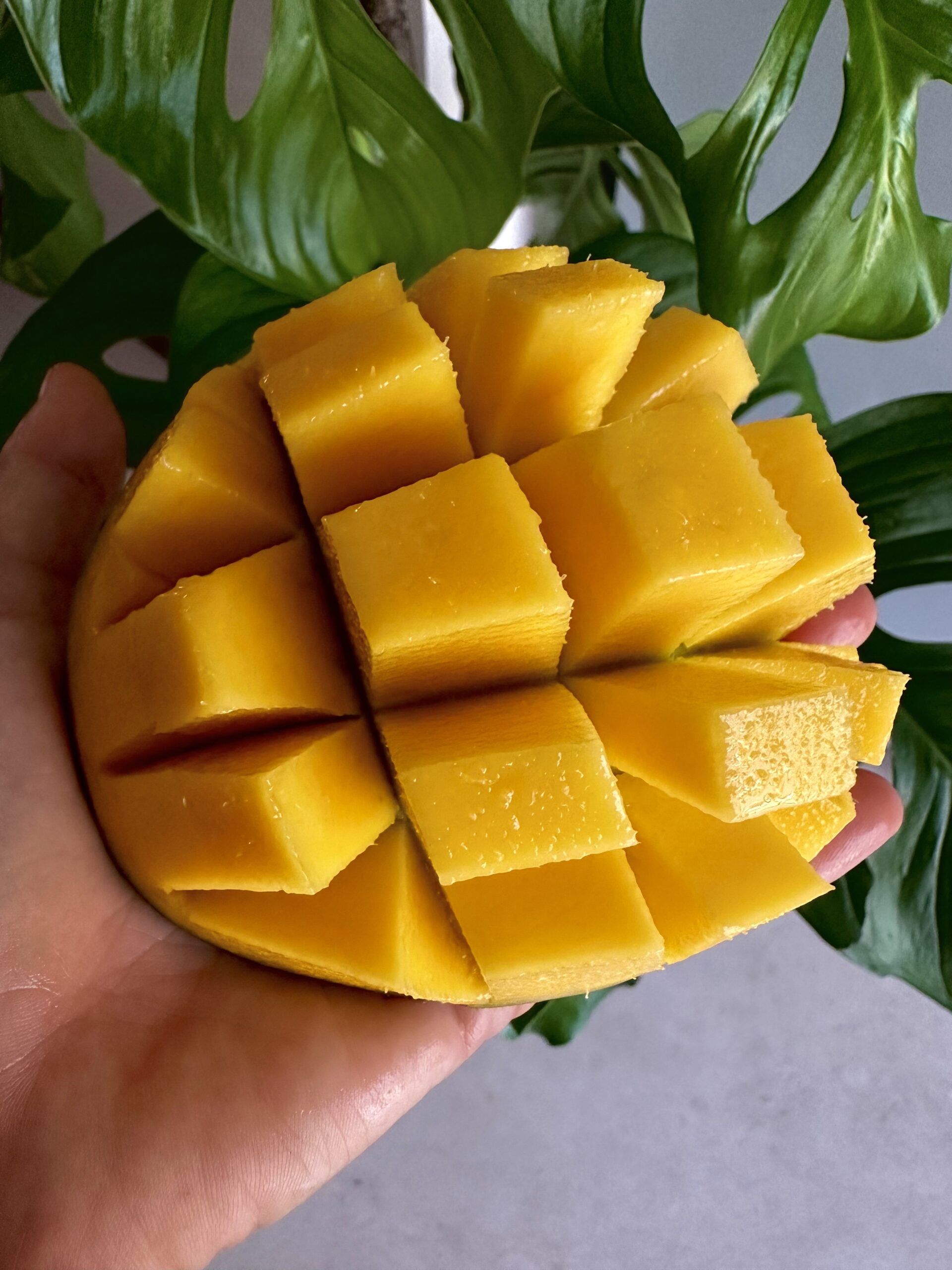 mango